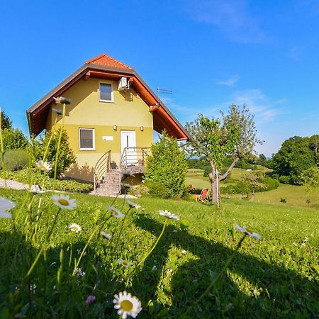 Apartments Vinska Trta Catez ob Savi Zewnętrze zdjęcie