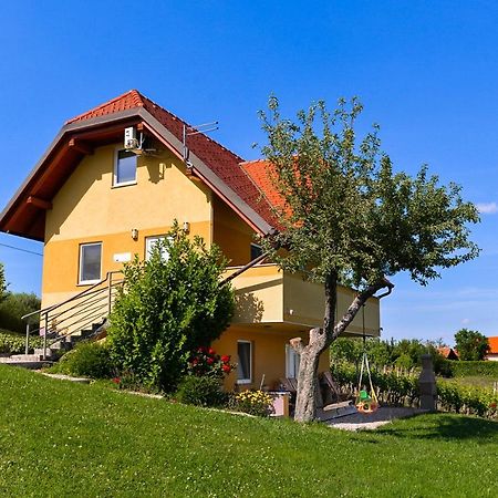 Apartments Vinska Trta Catez ob Savi Zewnętrze zdjęcie