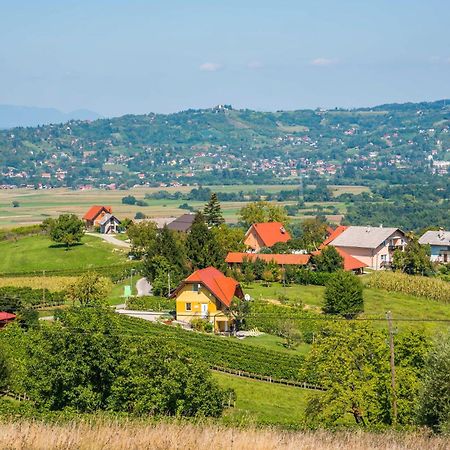 Apartments Vinska Trta Catez ob Savi Zewnętrze zdjęcie