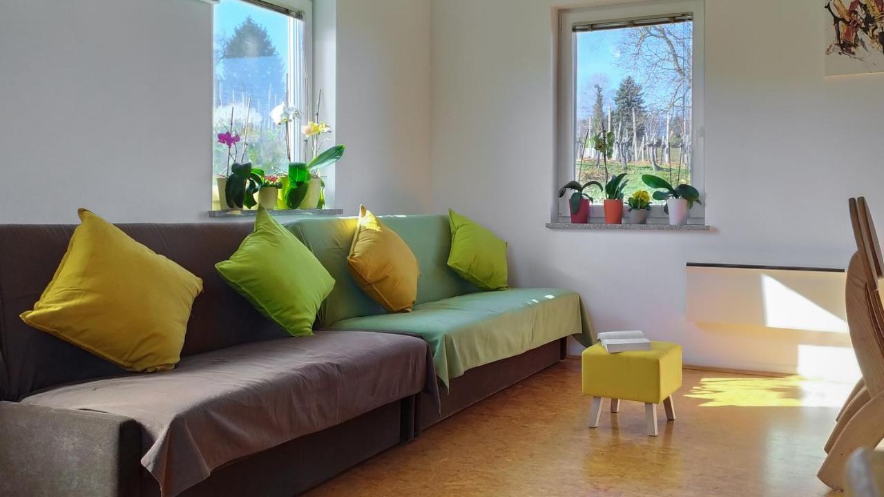 Apartments Vinska Trta Catez ob Savi Zewnętrze zdjęcie