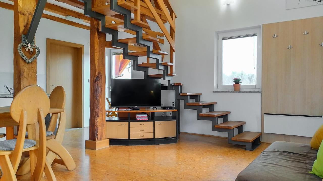 Apartments Vinska Trta Catez ob Savi Zewnętrze zdjęcie