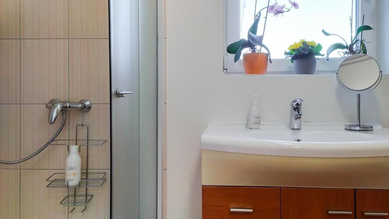 Apartments Vinska Trta Catez ob Savi Zewnętrze zdjęcie